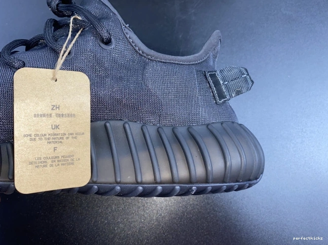 GX3791 Mono Boost Yeezy 350 Adidas Cinder V2 0809